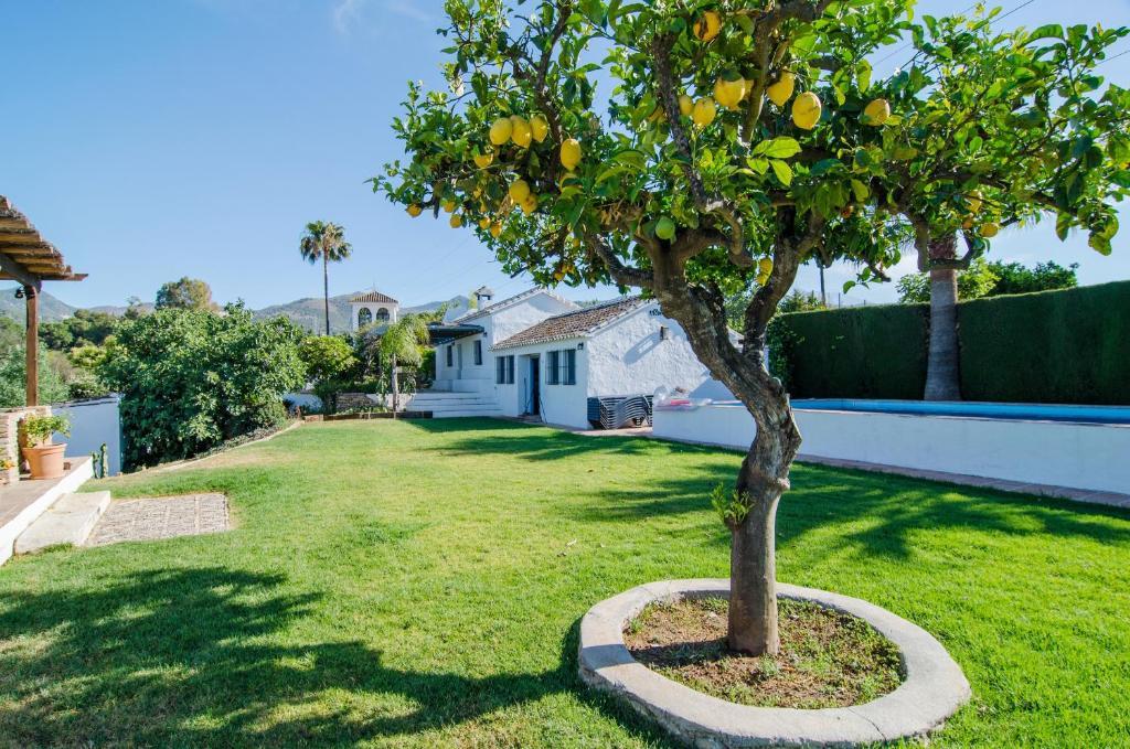 Rancho Del Ingles Bed & Breakfast Alhaurin de la Torre Luaran gambar